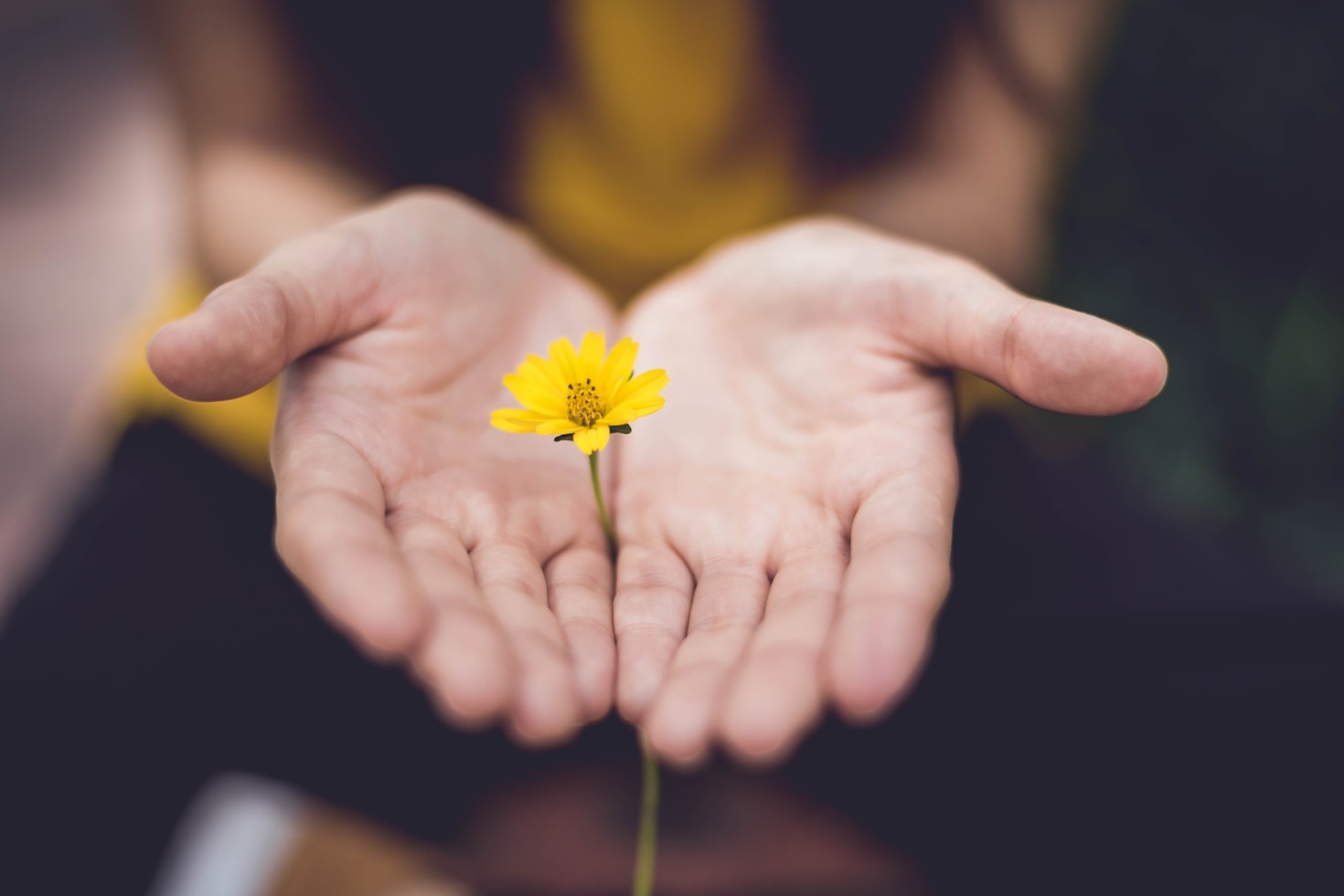 Exploring the Benefits of Safe Physical Contact